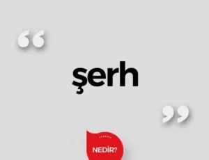 Tapu Şerhi Nedir?