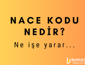NACE Kodu nedir?