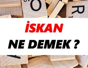 Yapı Kullanma İzin Belgesi (İskan) Nedir ve Nasıl Alınır?